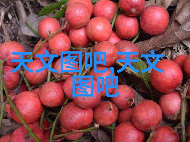超高速离心机-高速旋转之神揭秘高效分离技术的奥秘