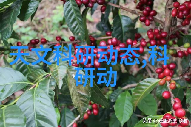将来这类新品种会是更经济更易于存储的选择吗