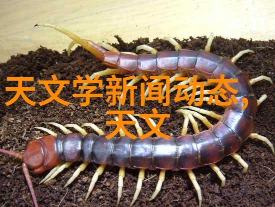 空间有限效率不减小型净水设备的设计优势