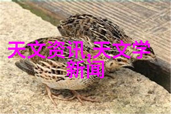 实验室高压灭菌锅型号-超声波消毒技术在实验室高压灭菌锅中的应用与挑战