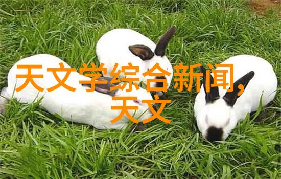 在农业灌溉中多参数水质分析仪能够检测哪些对作物生长至关重要的因素