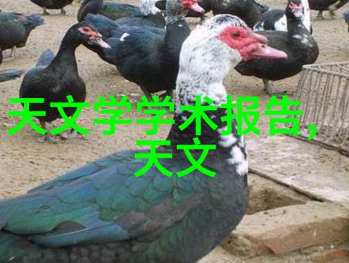 旋转的力量揭秘实验室离心机的奥秘与操作技巧
