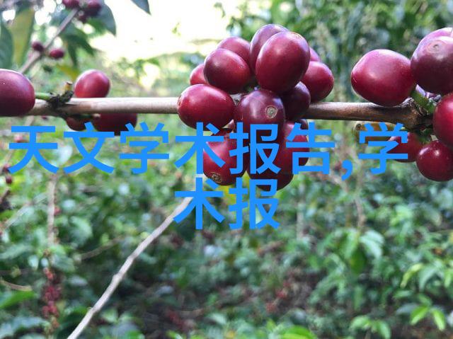 AMD芯片组超越边界的技术奇迹
