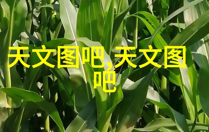 清洁守护农场的高压卫士