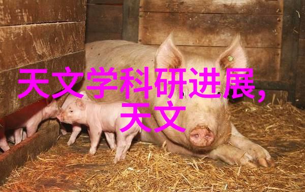 抽真空的秘密隔膜泵的奇迹运作