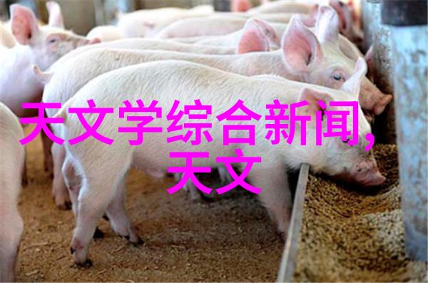 家风传承儿子暴躁老妈妈的反思与转变