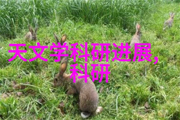 红外杀菌之光无声守护健康的神器