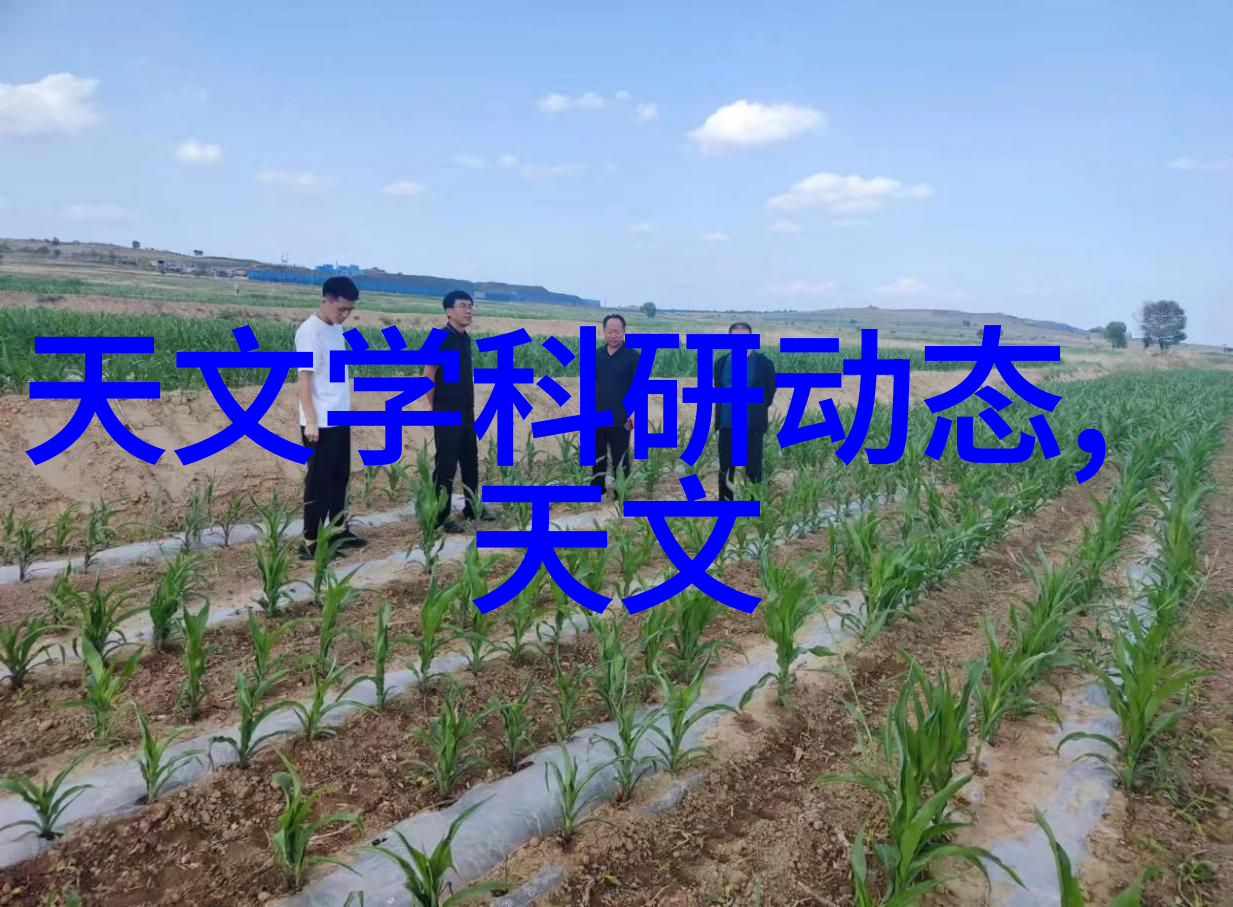 化工丸剂机械高效率的药物生产线
