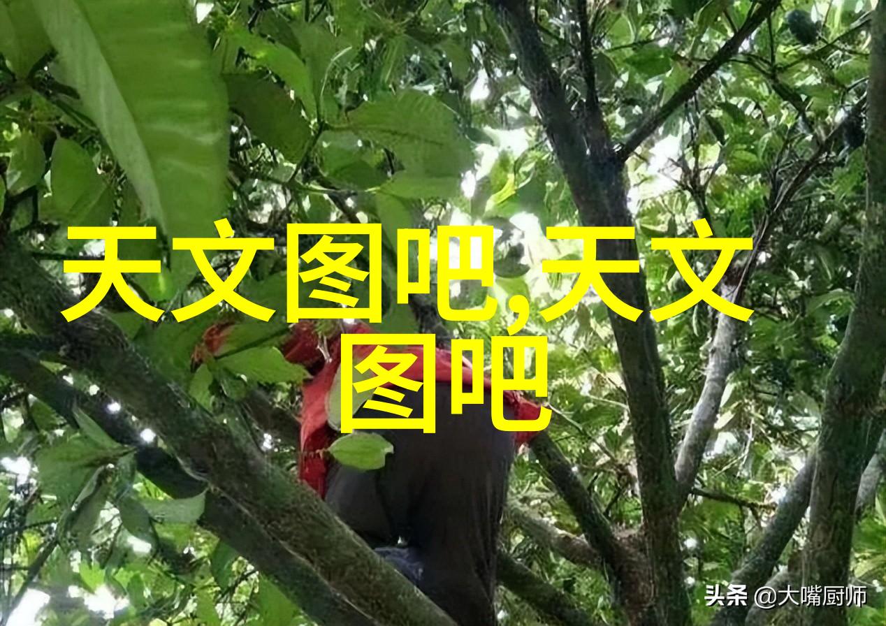 在设计管线时如何确保所有部件符合相同的尺寸标准
