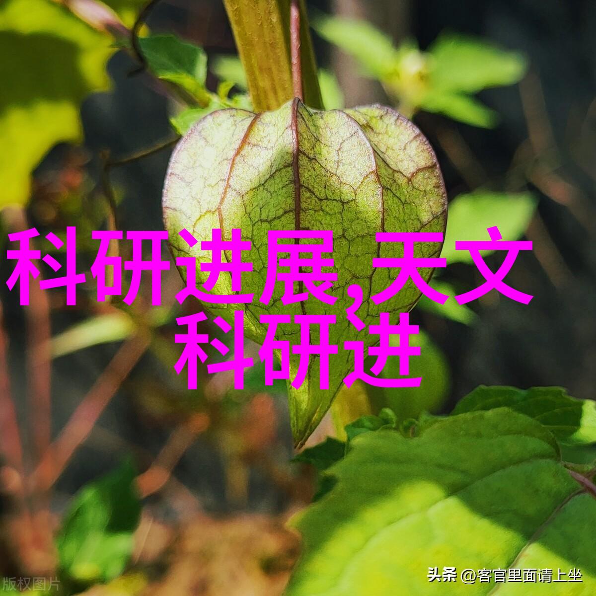 铜铁分离机器设备我来教你如何用它省下心疼的钱