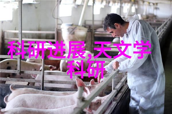 高效率与安全性并存现代消毒液生产设备选型指南