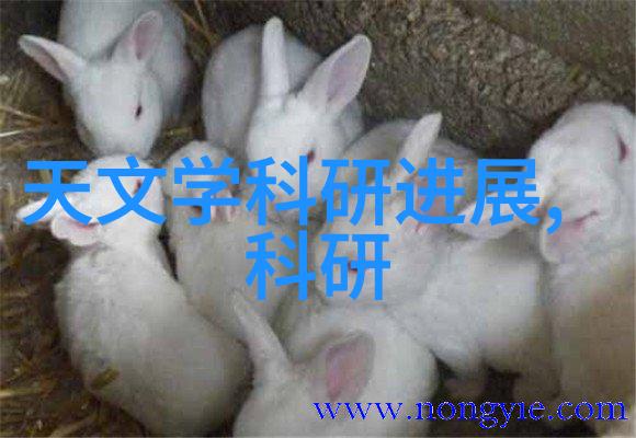 化工过滤设备的选择与应用实践
