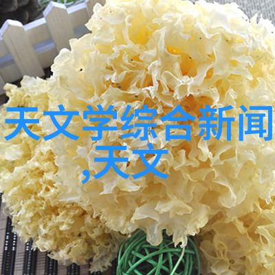 家风传承狂夫妻故事中的家族价值观探索