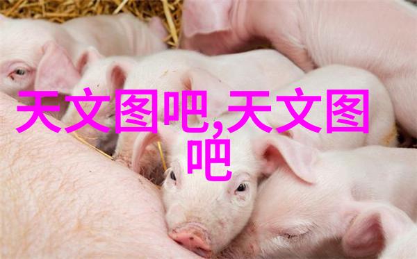 水电安装好学不妨尝试这些建议