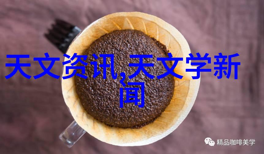 清洁之谜揭秘布袋除尘器堵灰的背后原因