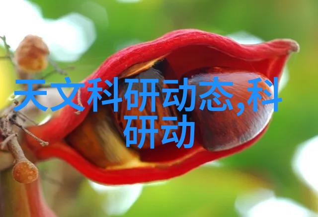 呼和浩特烘干机厂家网带式烘干机温暖如初的引发剂让每一粒谷物都能充满活力