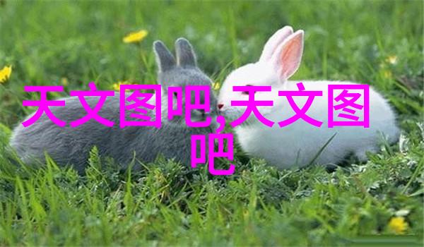 超纯水处理设备公司-精准水质控制超纯水处理技术的最新进展与应用前景
