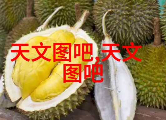 美满天伦家庭交响曲1-和谐共鸣的家谱记忆