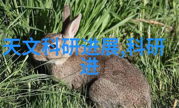 绿色循环经济下的轮胎资源化利用方法探究