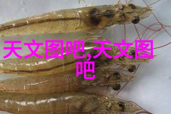 上海仅鑫制药设备工程有限公司精益求精守护健康的守望者