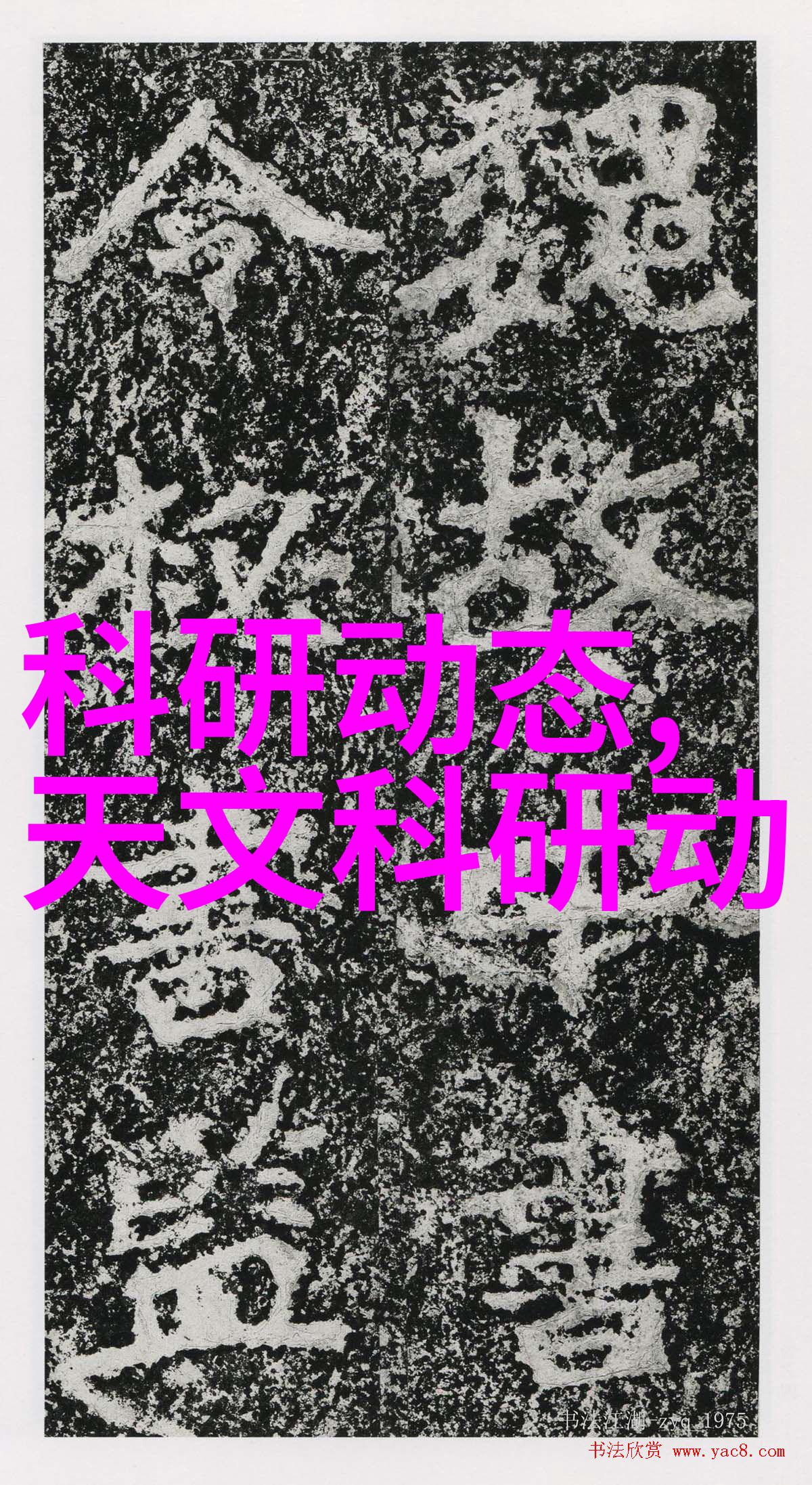 塑料管道的守护者水管的秘密生活