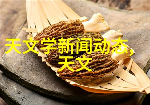 成都实验室设备创新驱动科学研究的精准工具