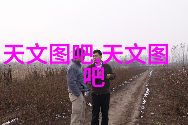 煤炭分选机我是如何成为矿区里的铁打的劳动伙伴的