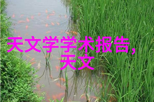 PVDF规整填料在化工行业中的使用情况如何