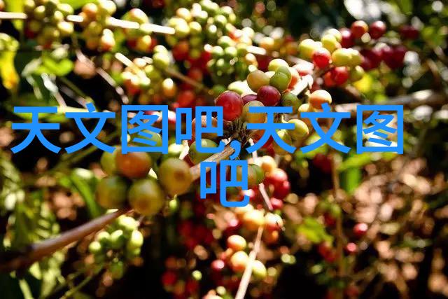 在厨房的角落里有一个温馨的小角落那是一个装饰精美的酸奶机它不仅是家庭日常生活中不可或缺的一部分更是一