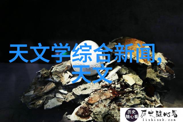 杨勇辉国际学术交流中心Rafael S de Souza探讨宇宙统计与跨学科路径在社会中的应用