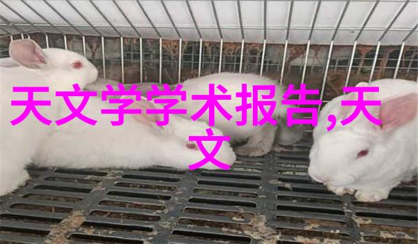 御笔轶事男帝的沉默与权力的重量