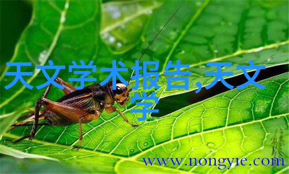 丝接管件高精度丝接的应用与解决方案