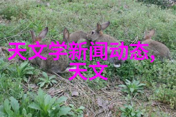 不锈钢加热搅拌反应釜我的实验室新宠儿效率与安全的双重奏鸣
