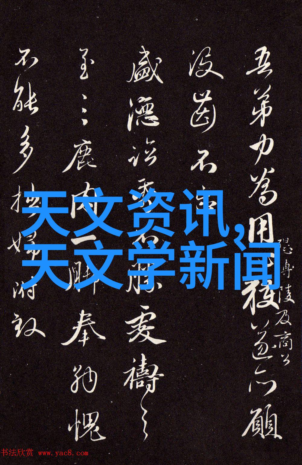 张捷财经观察-市场预测与投资策略的艺术探究