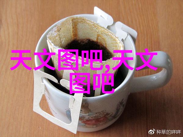 机智的伙伴中国智能机器人的崭新篇章