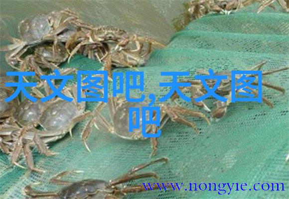 清澈源自深渊水处理公司的静默守护者