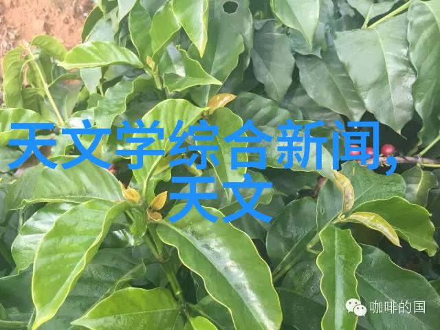 在厨房中利用微波炉作为一种简单有效的消毒方法介绍