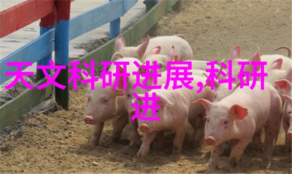 如何正确安装化工卫生泵以确保安全运行