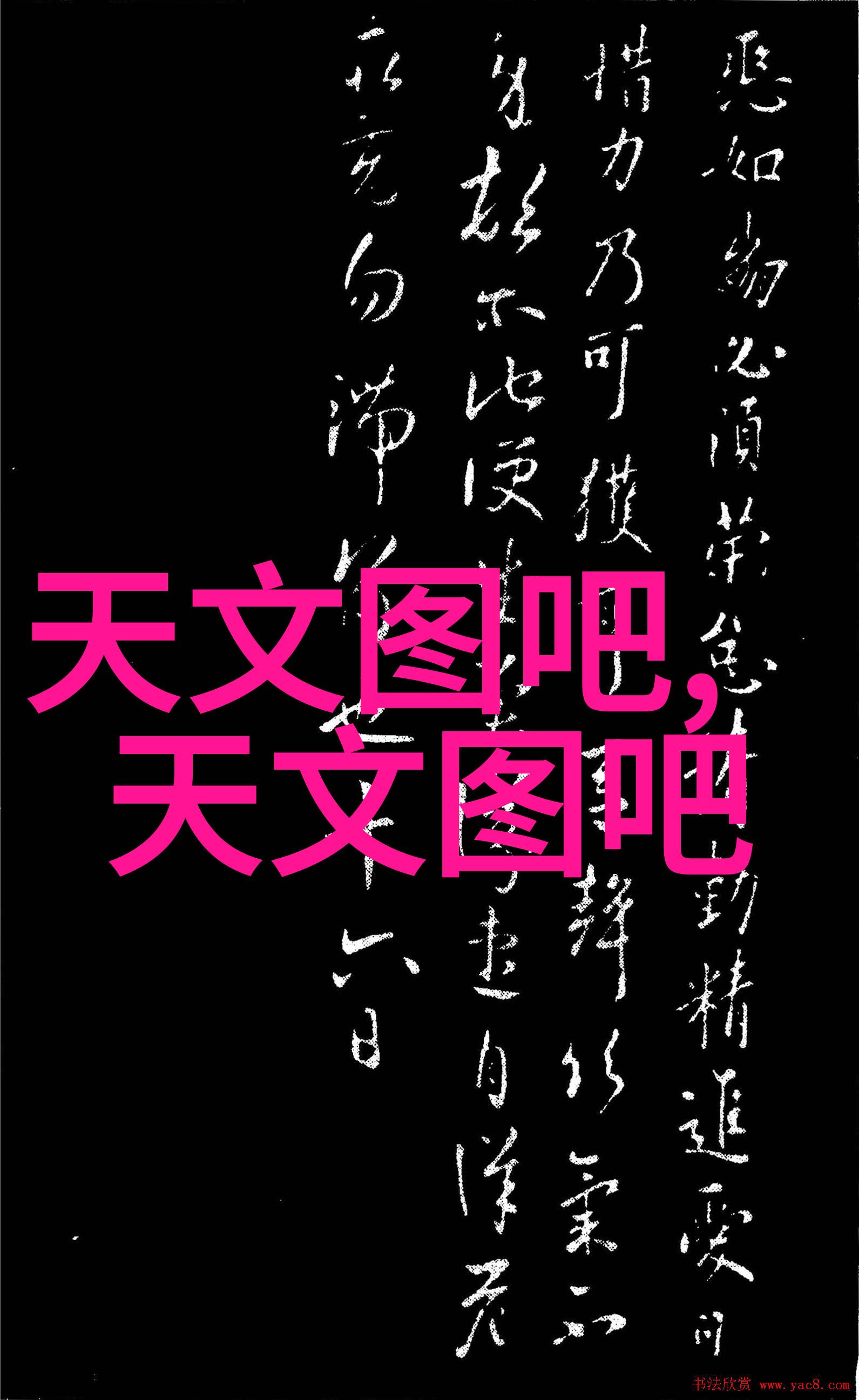 煤炭之舞煤泥干燥设备揭秘