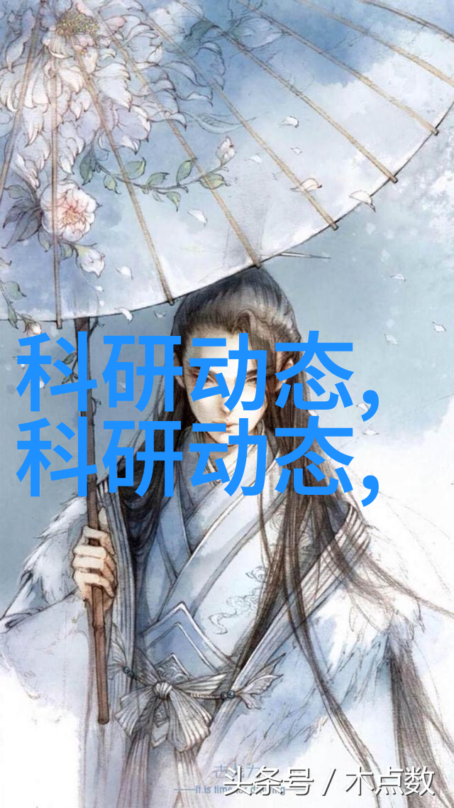 扇贝美食探秘海鲜大餐的诱惑