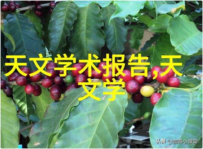 人工智能专业开设的课程我学AI你也来