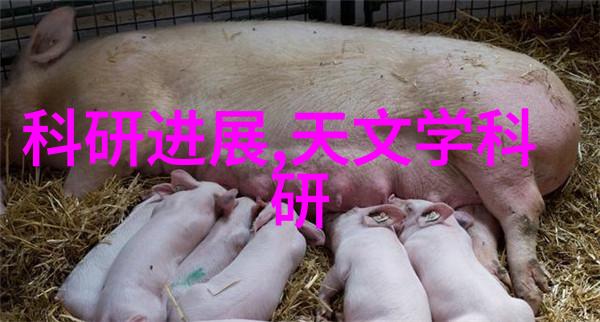 如何在有限空间中创造欧式风格卧室效果图