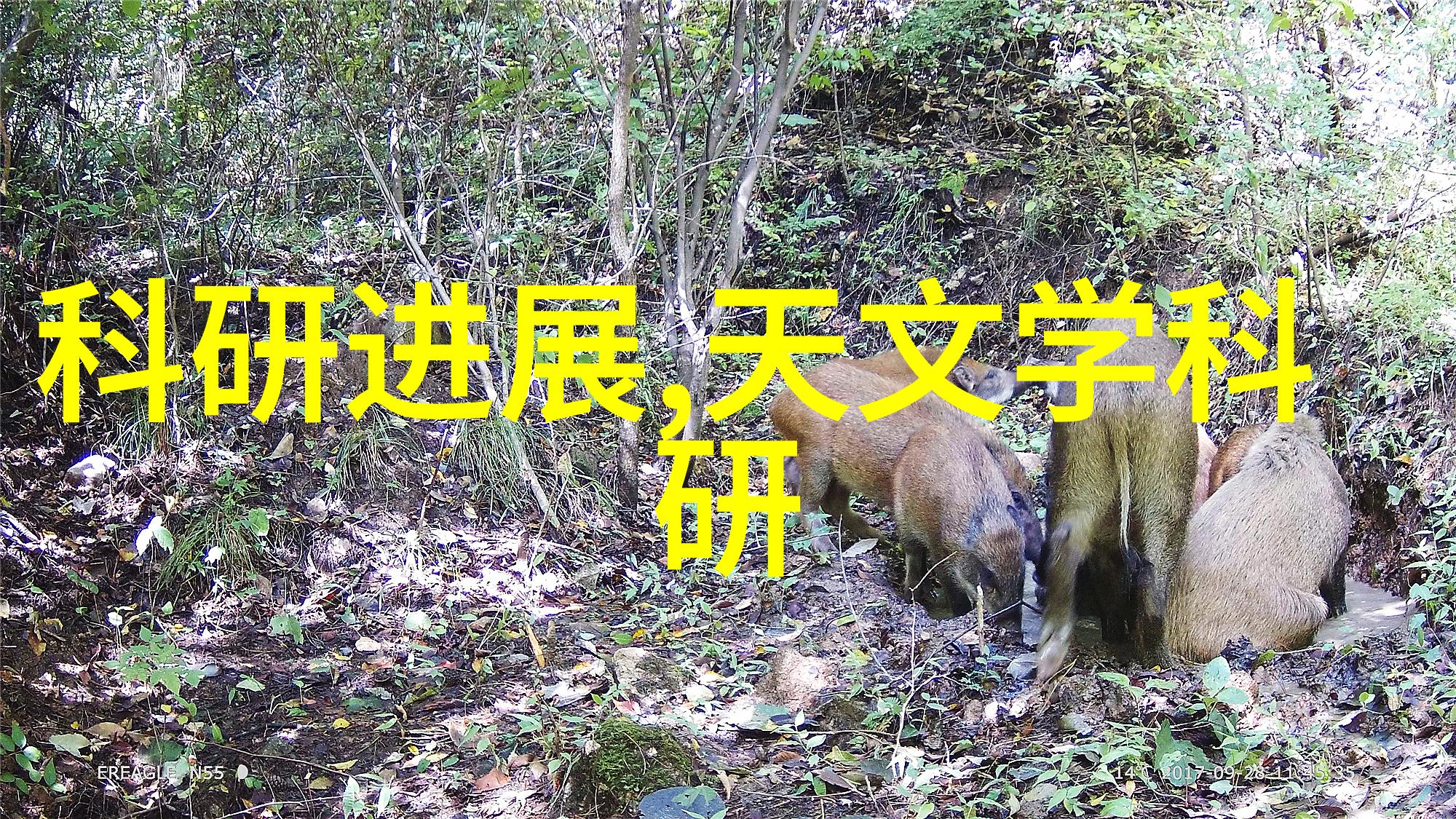 PPR与PE管材比较自来水管选择的智慧