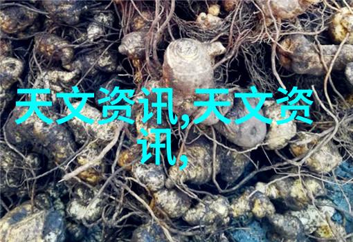 什么是环己基氢磺酸盐以及它在环氧树脂中的作用是什么