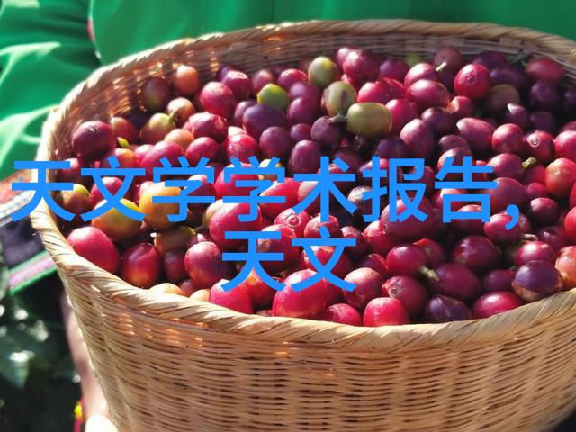 高压蒸汽灭菌锅的奇妙世界从传统到智能的探索之旅