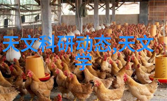 抗倍特板技术解析如何提高车辆冲击吸收能力