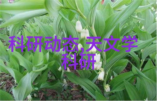小型防水涂料生产设备的发展与应用前景