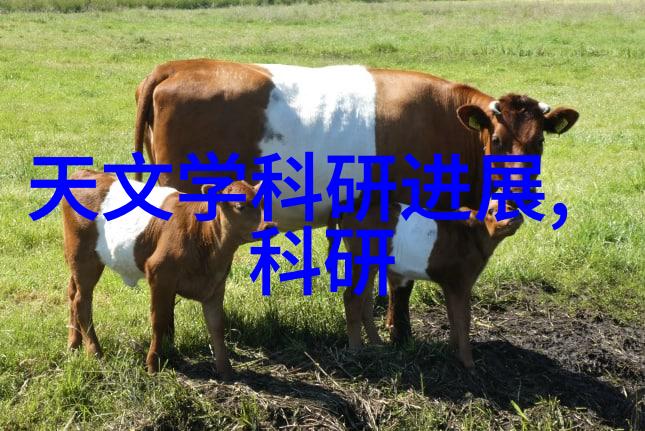 智能硬件的未来它们能真正理解我们的需求吗