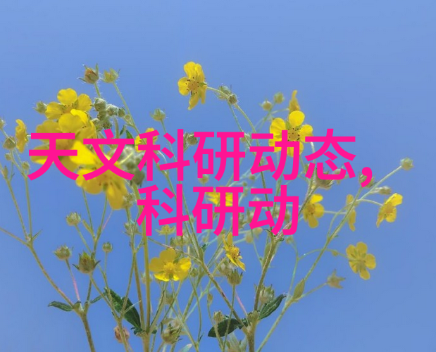探索大客厅布局效果图的艺术与实用性