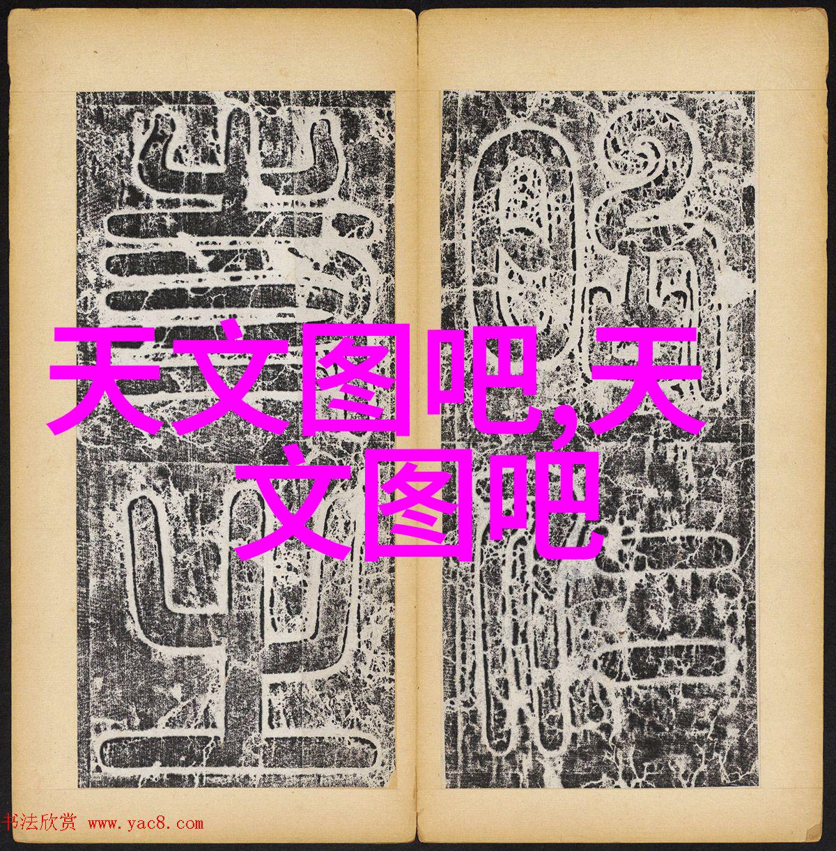 金属丝网的守护者不锈钢填料的秘密力量